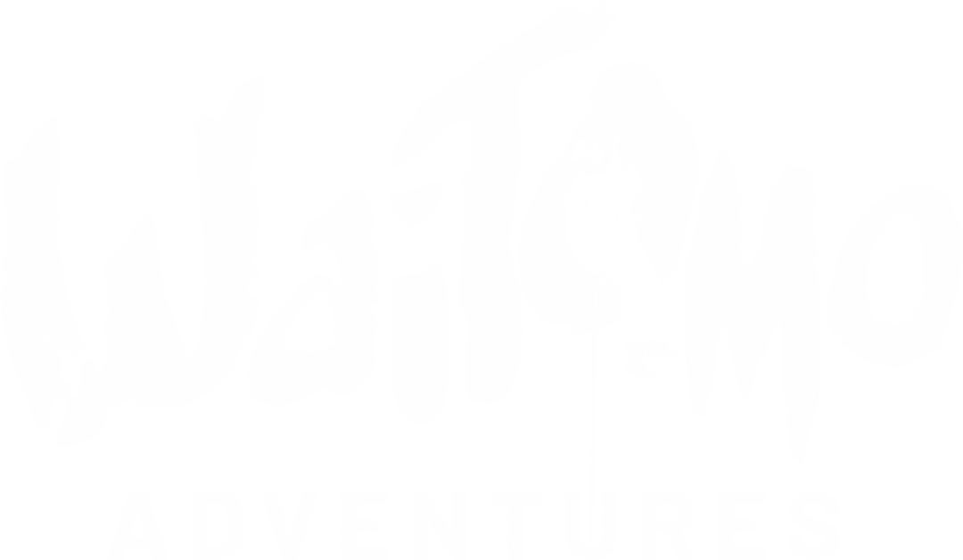 Waitomo Adventures Logo